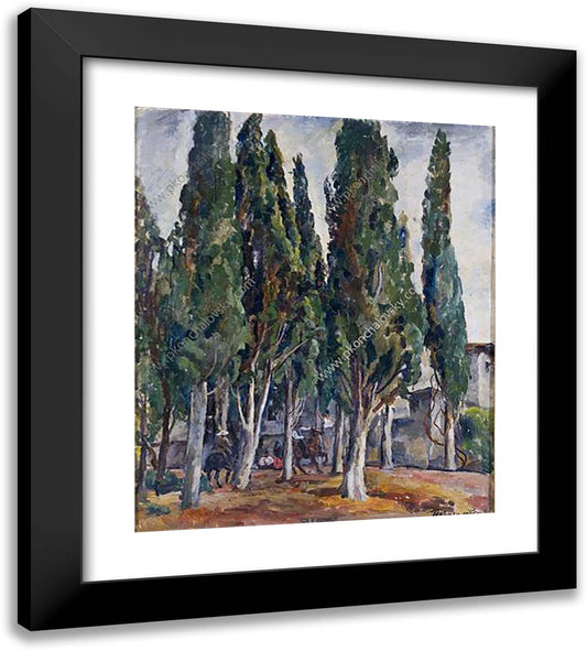 Crimea. Cypress. 20x22 Black Modern Wood Framed Art Print Poster by Konchalovsky, Piotr