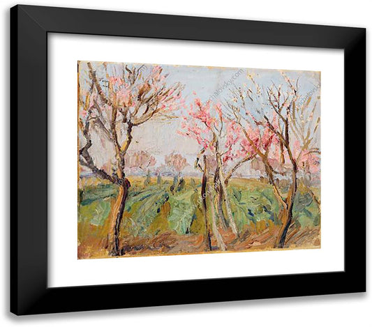 Garden Near Rome. Peaches in Bloom. 23x20 Black Modern Wood Framed Art Print Poster by Konchalovsky, Piotr