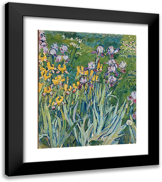 Irises 20x23 Black Modern Wood Framed Art Print Poster by Konchalovsky, Piotr