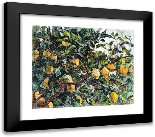 Italy. Lemons on the Branches. 23x20 Black Modern Wood Framed Art Print Poster by Konchalovsky, Piotr