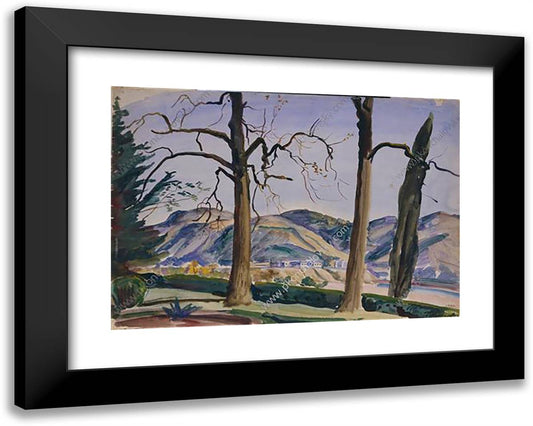 Kutaisi. Rionges. 24x19 Black Modern Wood Framed Art Print Poster by Konchalovsky, Piotr