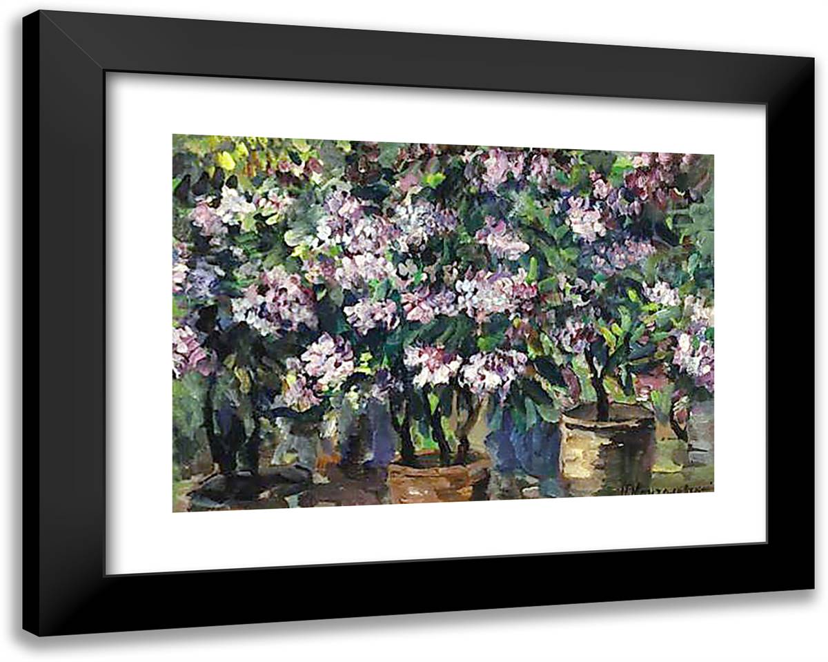 Lilacs 24x19 Black Modern Wood Framed Art Print Poster by Konchalovsky, Piotr