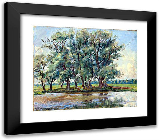 Okorokovo. Pond. 23x20 Black Modern Wood Framed Art Print Poster by Konchalovsky, Piotr