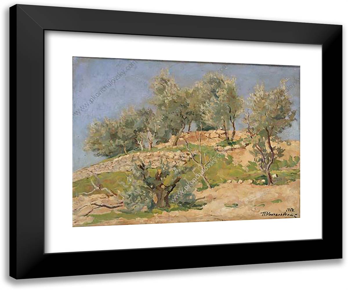 Olive-Wood 24x20 Black Modern Wood Framed Art Print Poster by Konchalovsky, Piotr