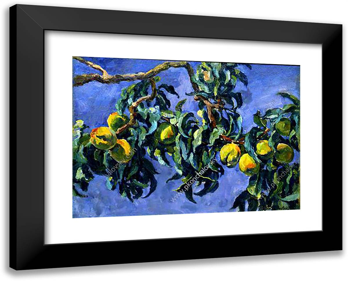 Peaches on the Branches 24x19 Black Modern Wood Framed Art Print Poster by Konchalovsky, Piotr