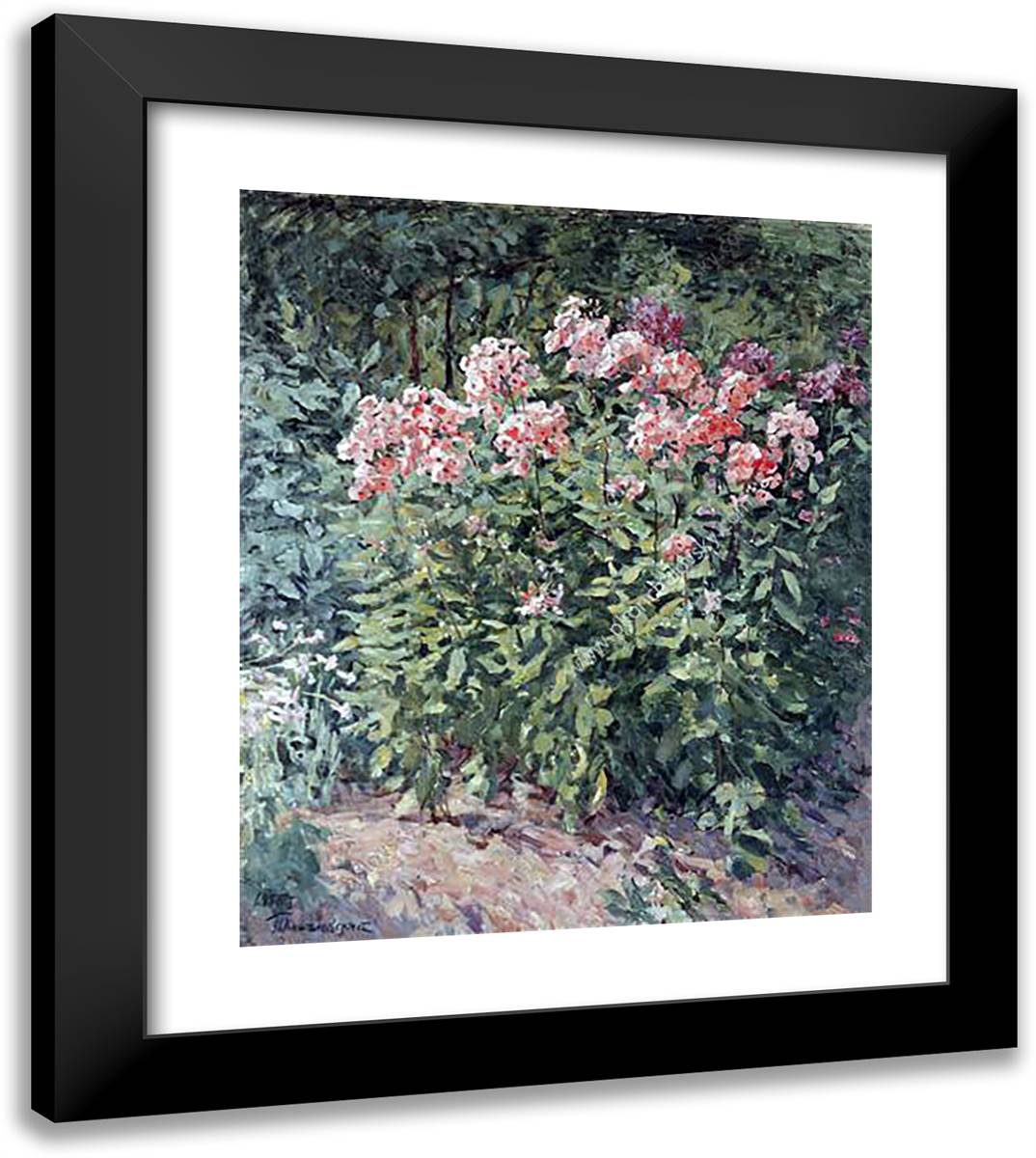 Phlox on Track 20x23 Black Modern Wood Framed Art Print Poster by Konchalovsky, Piotr