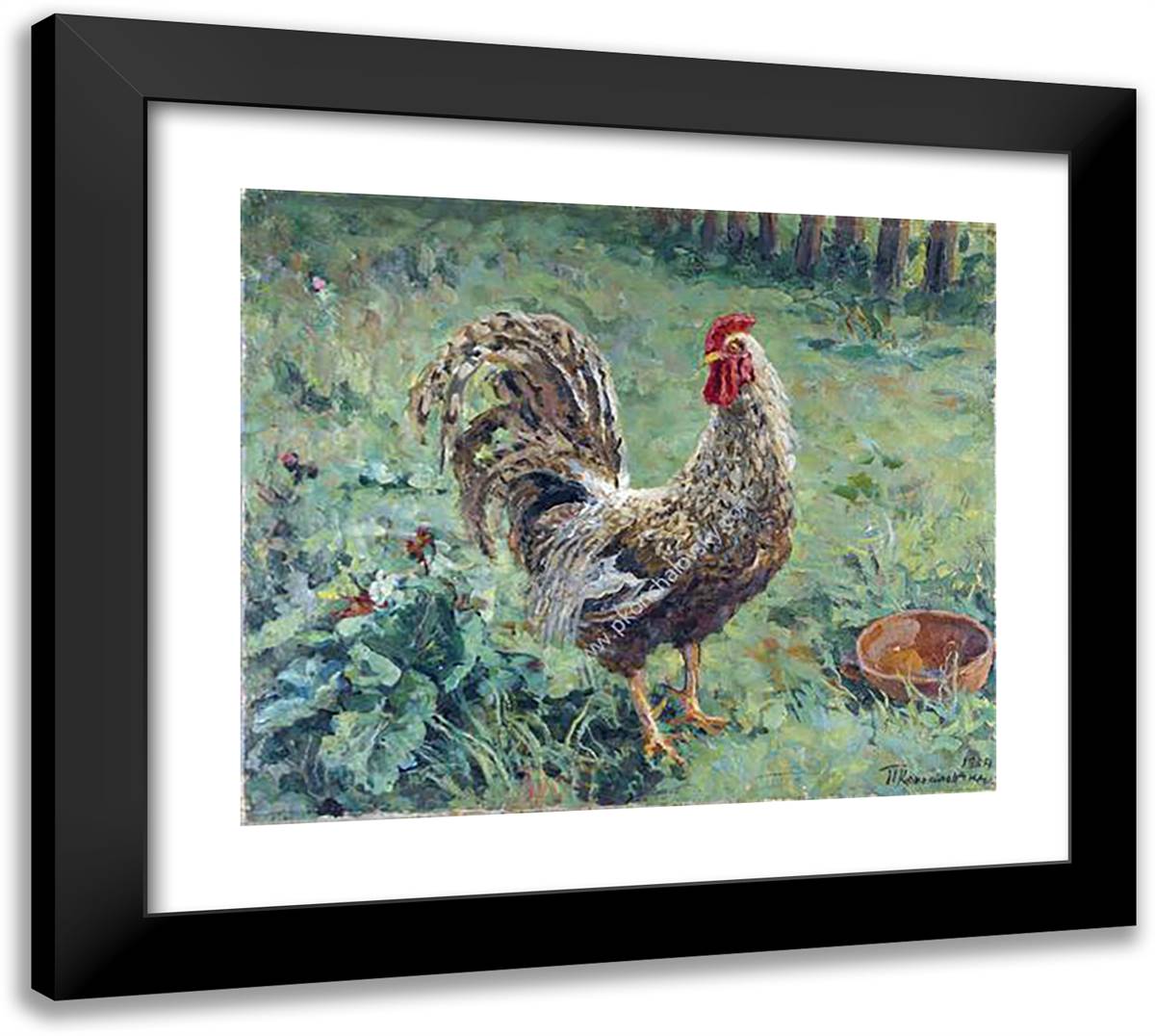 Rooster 22x20 Black Modern Wood Framed Art Print Poster by Konchalovsky, Piotr