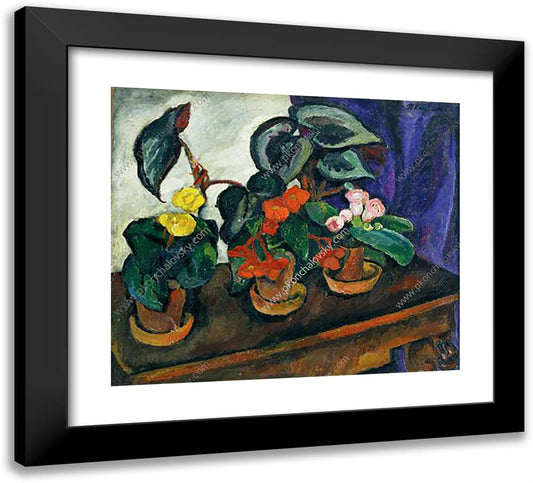 Still Life. Begonias. 22x20 Black Modern Wood Framed Art Print Poster by Konchalovsky, Piotr