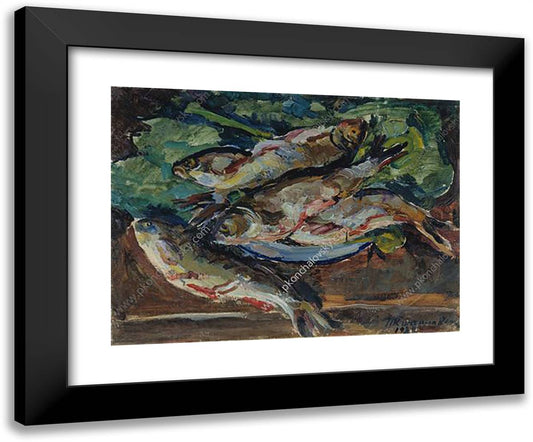 Still Life. Cleaned Fish. 24x20 Black Modern Wood Framed Art Print Poster by Konchalovsky, Piotr