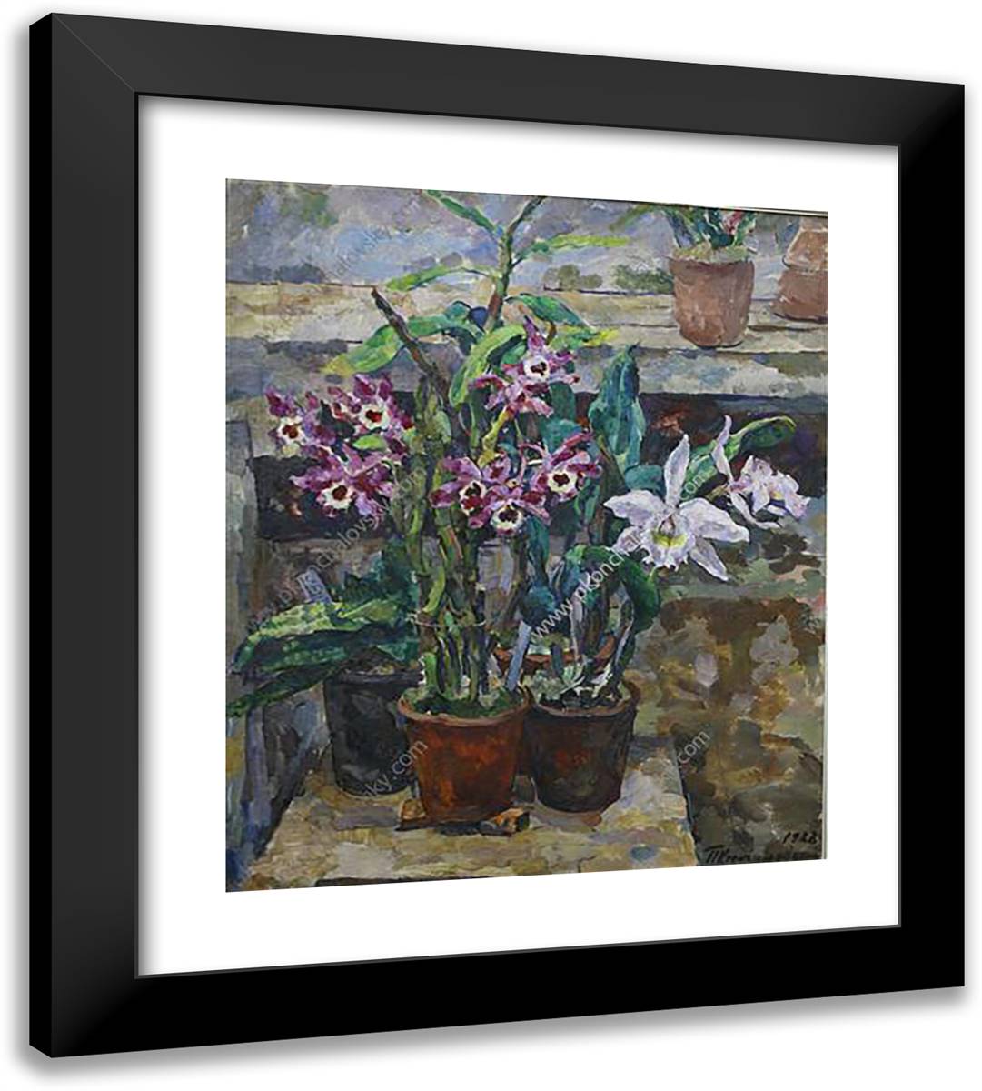 Still Life. Orchids. 20x22 Black Modern Wood Framed Art Print Poster by Konchalovsky, Piotr