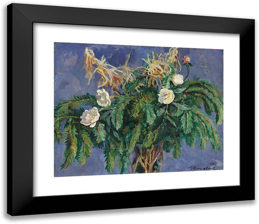 Still Life. Peonies and Spruce Branches. 23x20 Black Modern Wood Framed Art Print Poster by Konchalovsky, Piotr