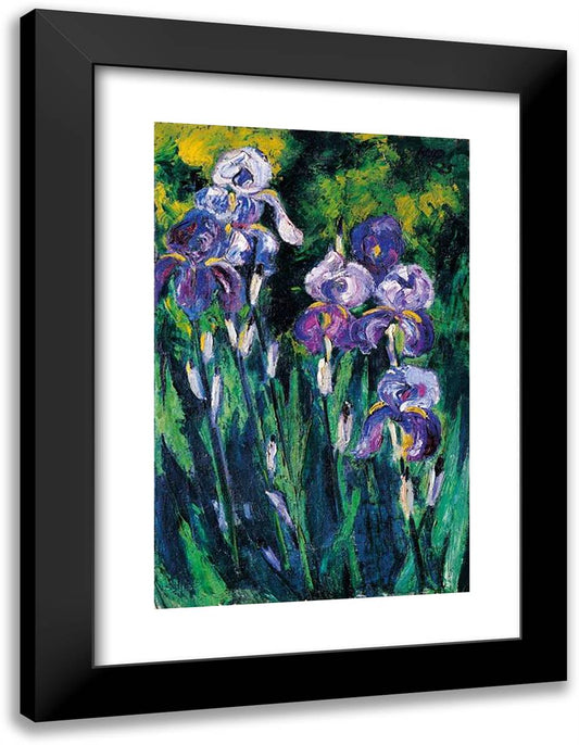 Irises in Evening Shadows 18x24 Black Modern Wood Framed Art Print Poster by Pechstein, Max