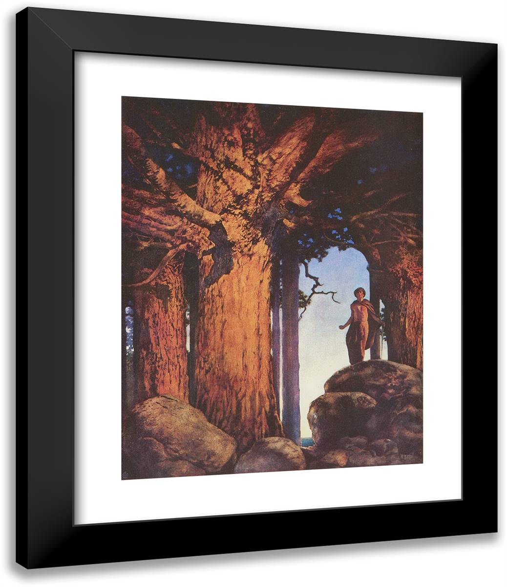 Jason and the Talking Oak 20x24 Black Modern Wood Framed Art Print Poster by Parrish, Maxfield