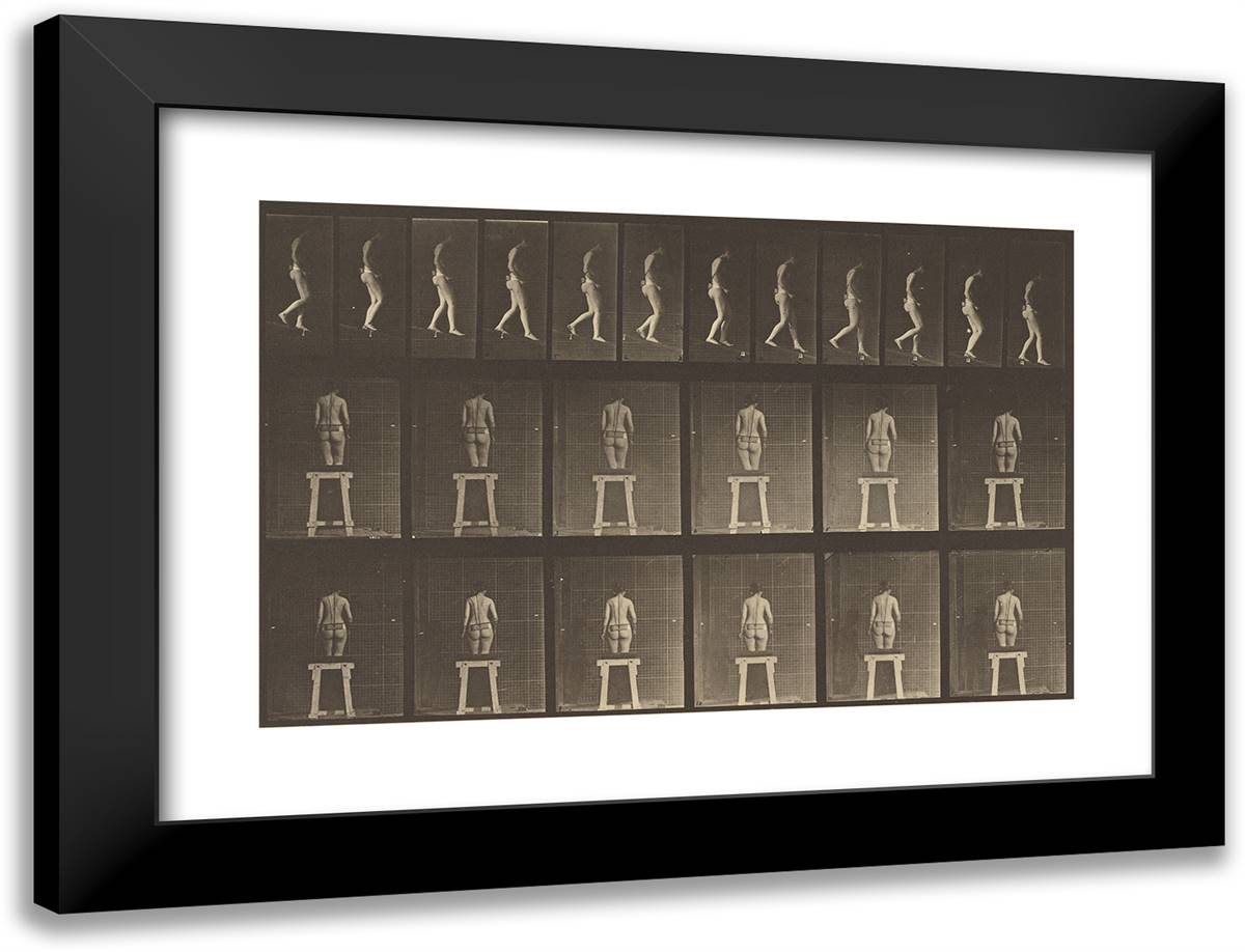 Animal Locomotion 24x18 Black Modern Wood Framed Art Print Poster by Muybridge, Eadweard