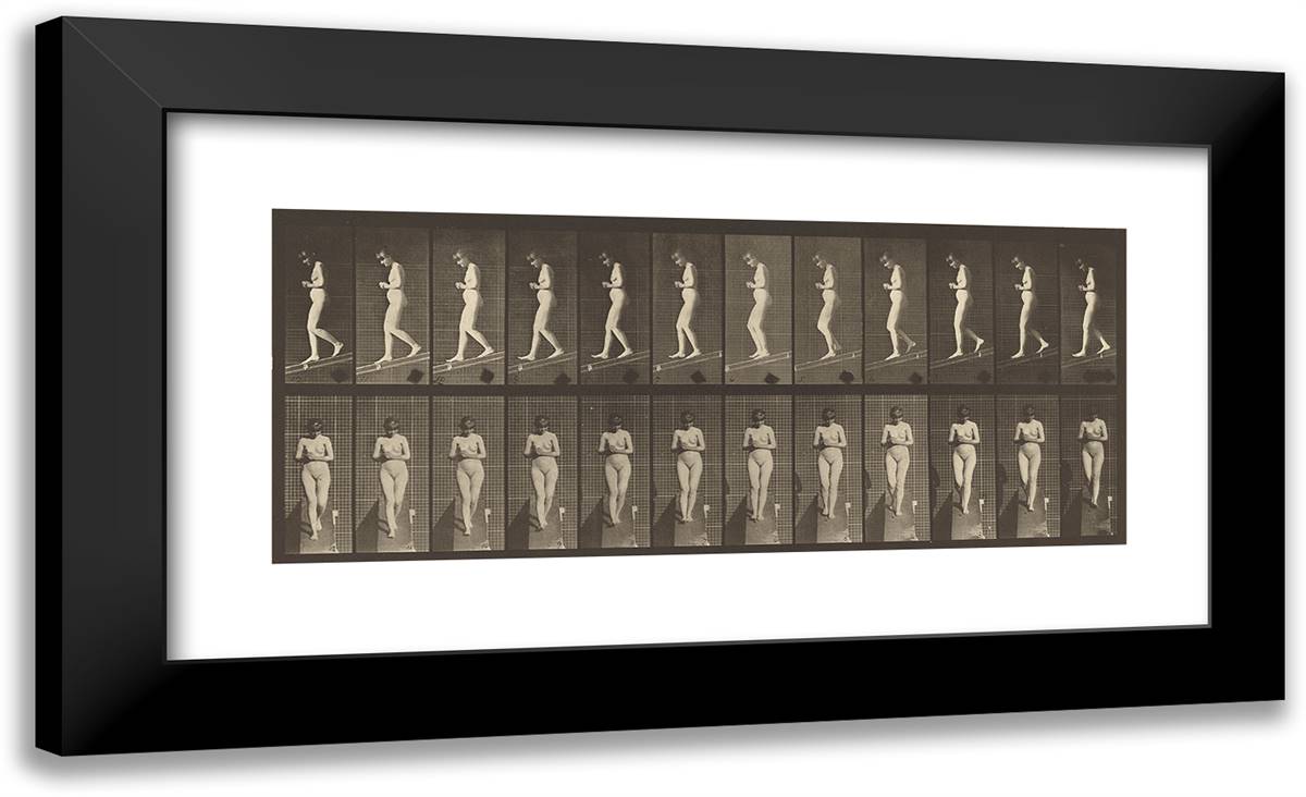 Animal Locomotion IV 24x15 Black Modern Wood Framed Art Print Poster by Muybridge, Eadweard