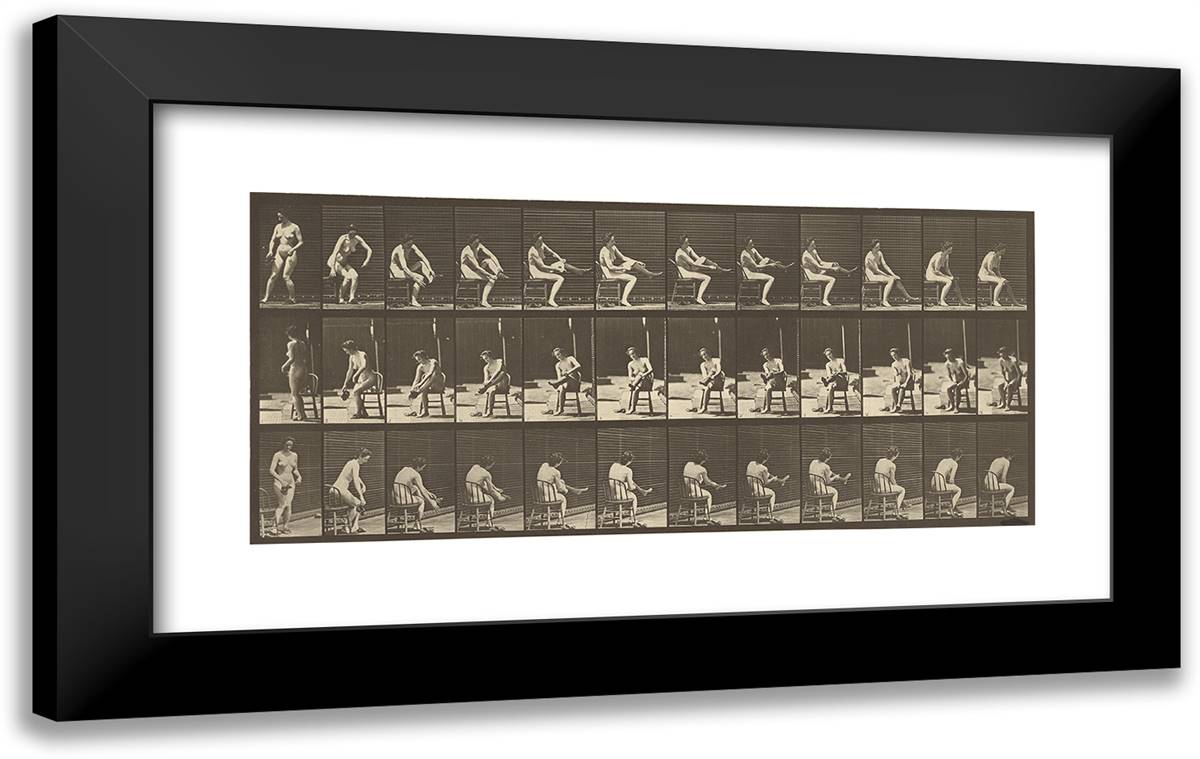 Animal Locomotion IX 24x15 Black Modern Wood Framed Art Print Poster by Muybridge, Eadweard