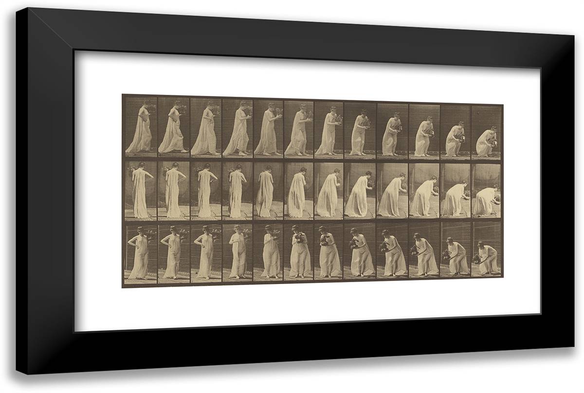 Animal Locomotion Li 24x16 Black Modern Wood Framed Art Print Poster by Muybridge, Eadweard