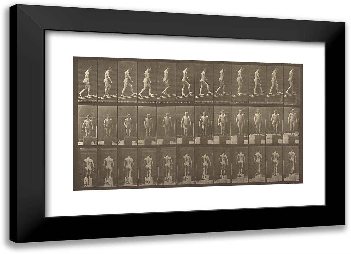 Animal Locomotion Liii 24x17 Black Modern Wood Framed Art Print Poster by Muybridge, Eadweard