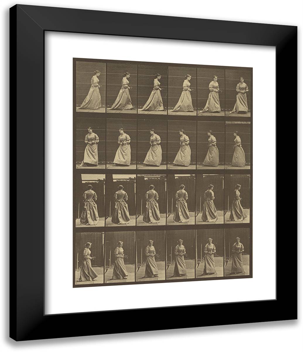 Animal Locomotion Lvii 20x24 Black Modern Wood Framed Art Print Poster by Muybridge, Eadweard