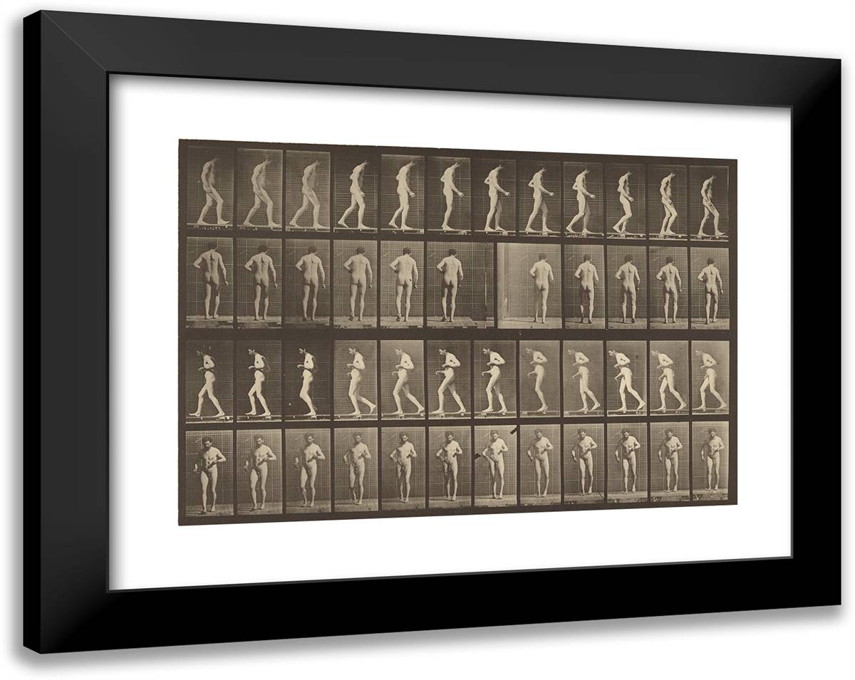 Animal Locomotion Xliii 24x19 Black Modern Wood Framed Art Print Poster by Muybridge, Eadweard