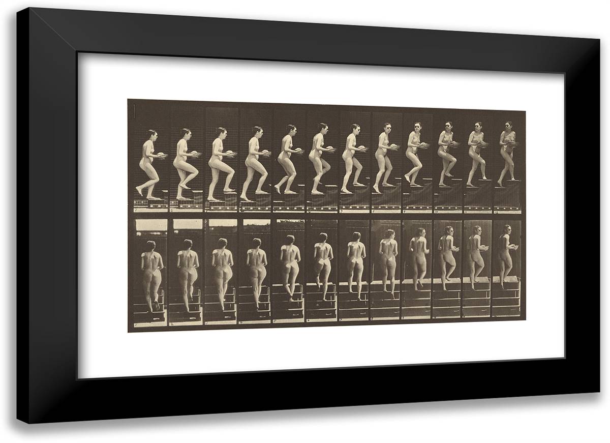 Animal Locomotion Xx 24x17 Black Modern Wood Framed Art Print Poster by Muybridge, Eadweard