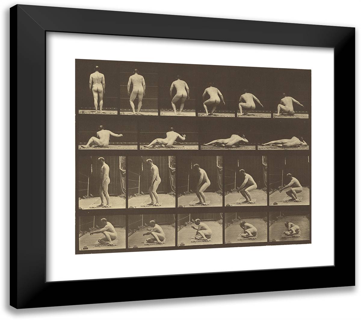 Animal Locomotion Xxi 23x20 Black Modern Wood Framed Art Print Poster by Muybridge, Eadweard