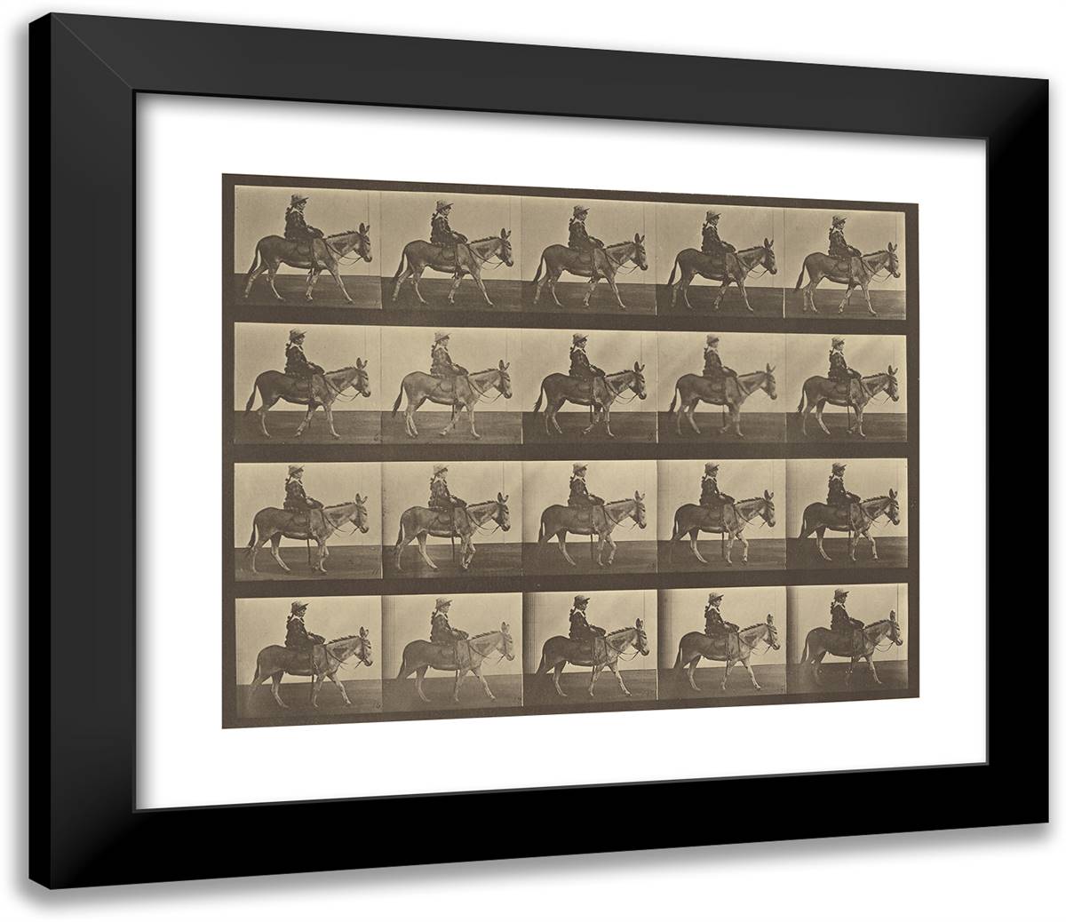 Animal Locomotion Xxviii 23x20 Black Modern Wood Framed Art Print Poster by Muybridge, Eadweard