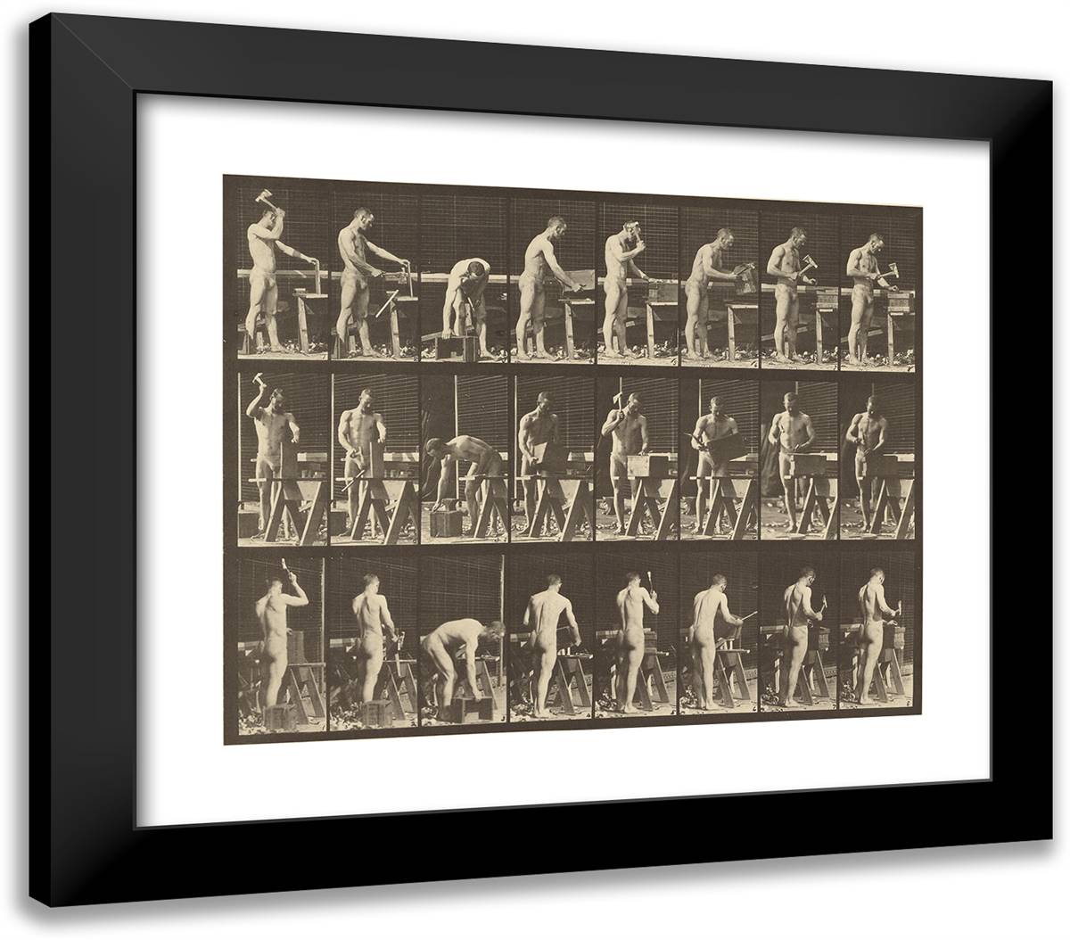 Animal Locomotion Xxxi 23x20 Black Modern Wood Framed Art Print Poster by Muybridge, Eadweard