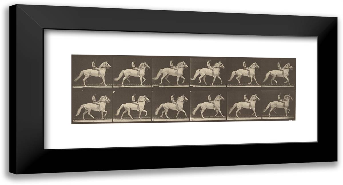 Animal Locomotion Xxxii 24x13 Black Modern Wood Framed Art Print Poster by Muybridge, Eadweard