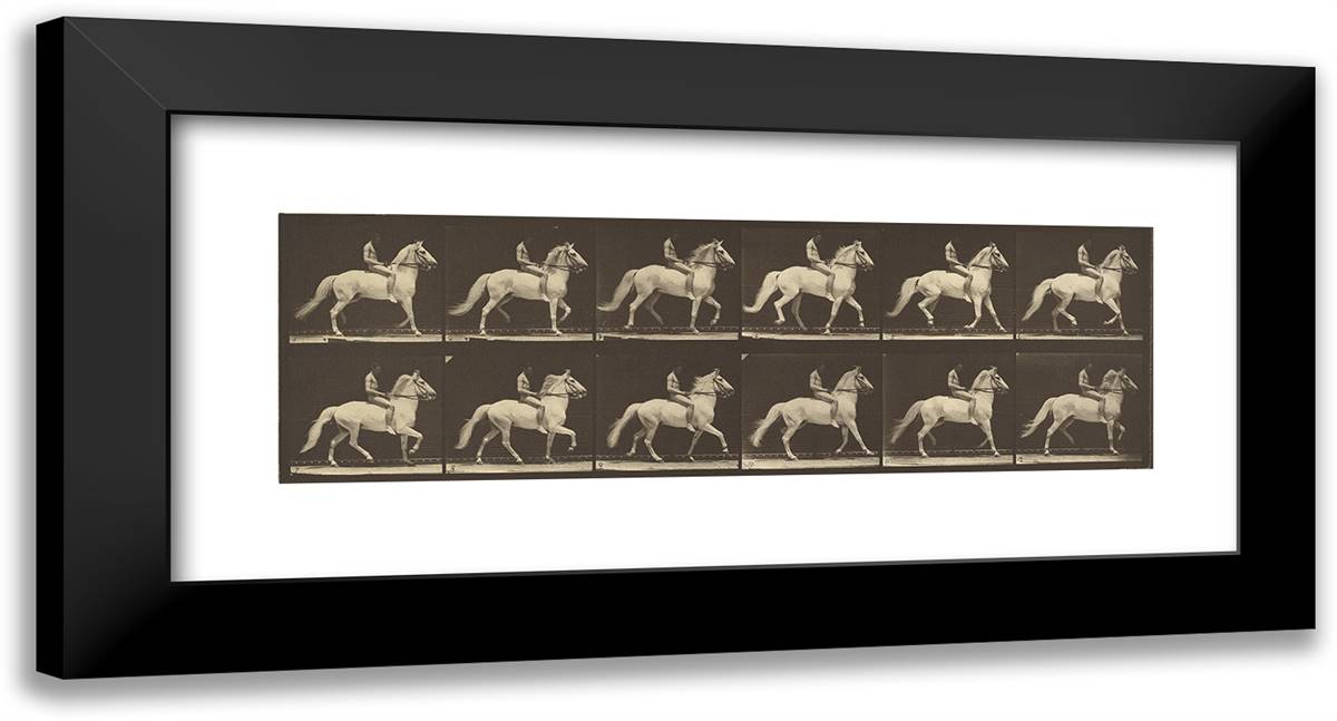 Animal Locomotion Xxxiv 24x13 Black Modern Wood Framed Art Print Poster by Muybridge, Eadweard