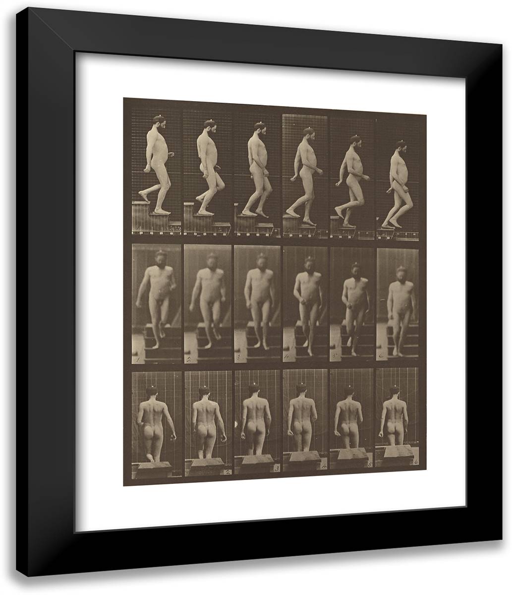 Animal Locomotion Xxxix 20x24 Black Modern Wood Framed Art Print Poster by Muybridge, Eadweard