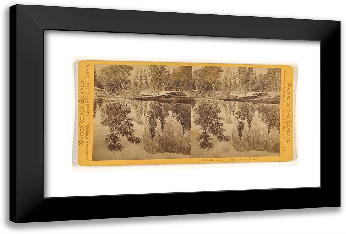 Reflection of Tutokanula in the Merced. 24x16 Black Modern Wood Framed Art Print Poster by Muybridge, Eadweard