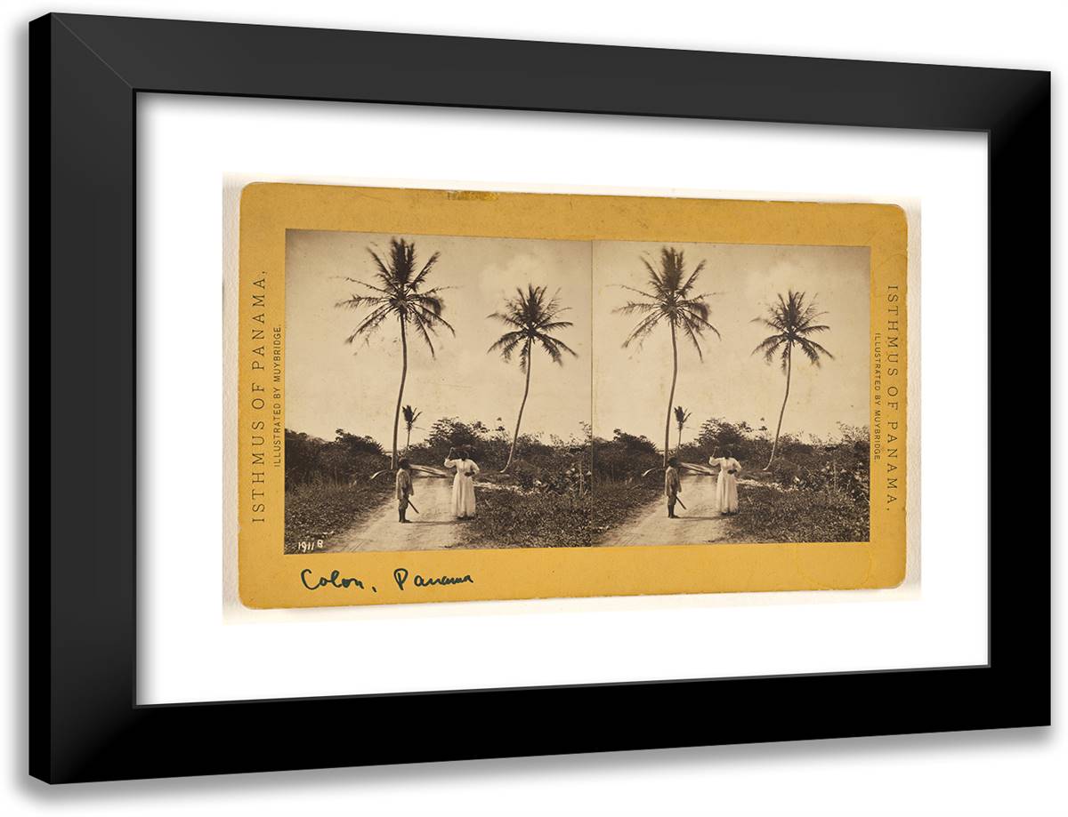Road Along the Beach 24x18 Black Modern Wood Framed Art Print Poster by Muybridge, Eadweard