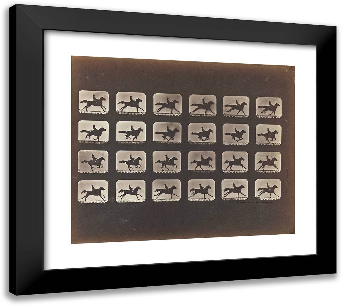 Running (Galloping) 22x20 Black Modern Wood Framed Art Print Poster by Muybridge, Eadweard