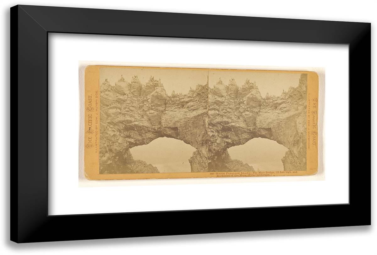 South Farallon Island - the Murr Bridge, 113 Feet High and R 24x16 Black Modern Wood Framed Art Print Poster by Muybridge, Eadweard