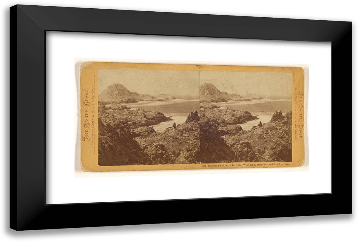 South Farallon Island - West End, Main Top and Breaker Cove. 24x16 Black Modern Wood Framed Art Print Poster by Muybridge, Eadweard