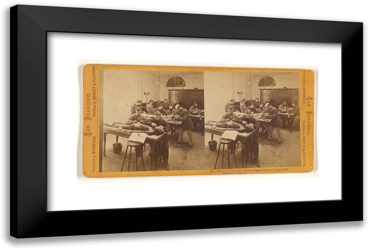 State University, Medical Department, Toland Hall, Dissectin 24x16 Black Modern Wood Framed Art Print Poster by Muybridge, Eadweard
