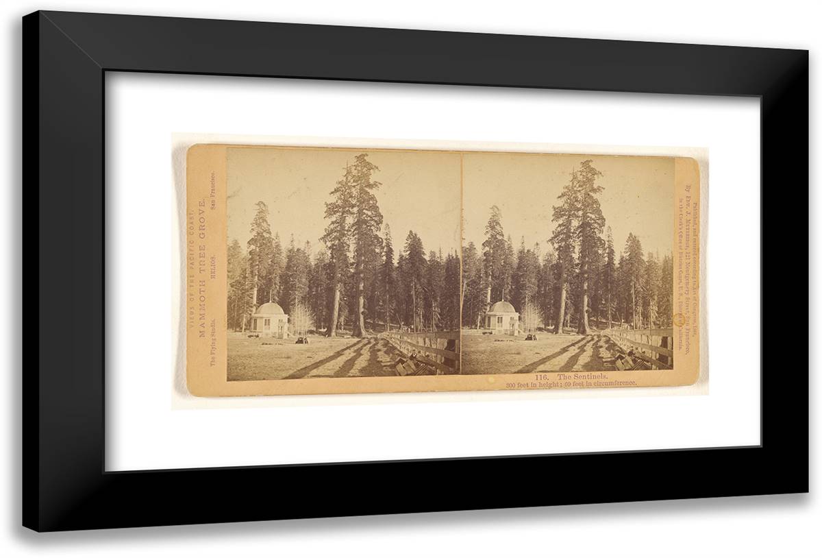 The Sentinels 24x16 Black Modern Wood Framed Art Print Poster by Muybridge, Eadweard