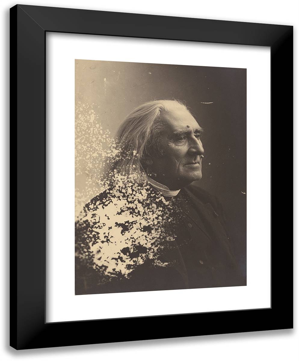 Franz Liszt II 19x24 Black Modern Wood Framed Art Print Poster by Nadar, Gaspard