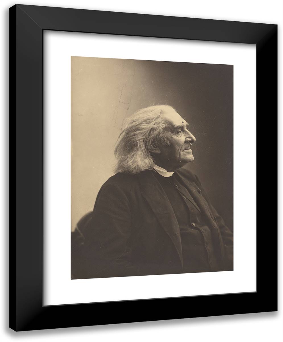 Franz Liszt IX 19x24 Black Modern Wood Framed Art Print Poster by Nadar, Gaspard