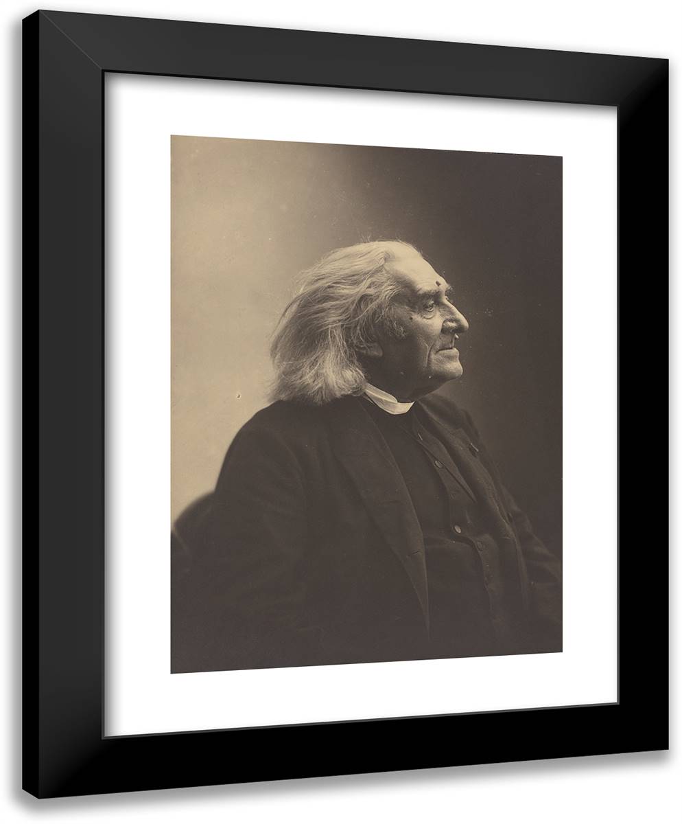 Franz Liszt V 19x24 Black Modern Wood Framed Art Print Poster by Nadar, Gaspard