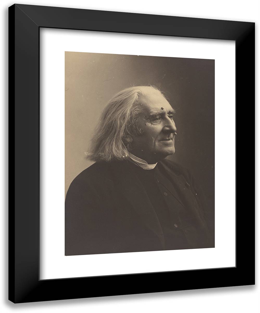 Franz Liszt VIII 19x24 Black Modern Wood Framed Art Print Poster by Nadar, Gaspard