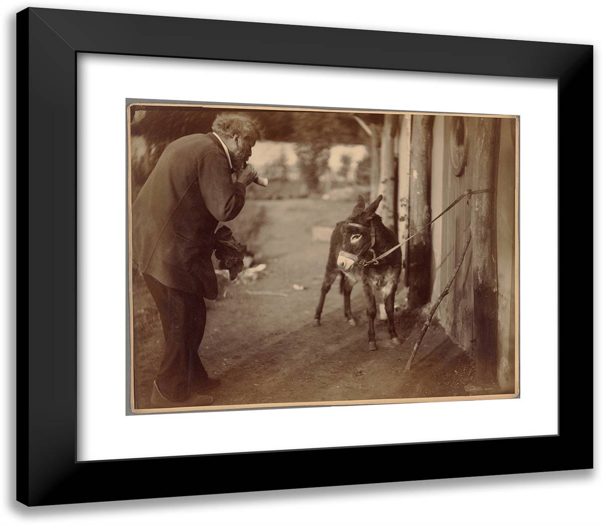 L'Áne Biribi, Senart 23x20 Black Modern Wood Framed Art Print Poster by Nadar, Gaspard
