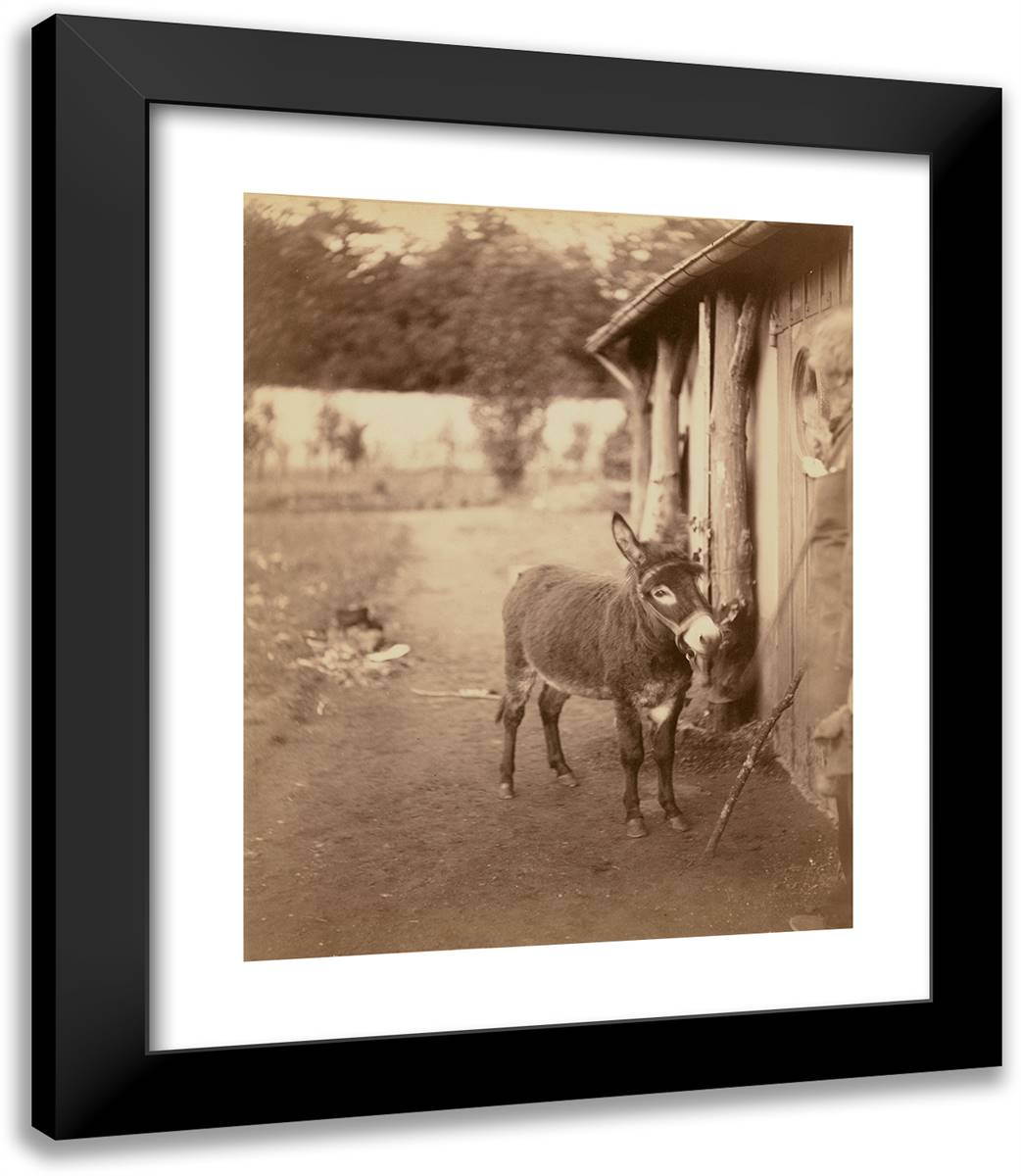 Senart, L'Áne Biribi 20x23 Black Modern Wood Framed Art Print Poster by Nadar, Gaspard