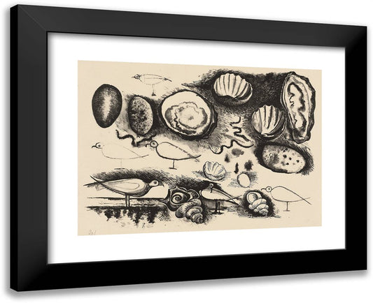 Shells and Birds 24x20 Black Modern Wood Framed Art Print Poster by Picasso, Pablo