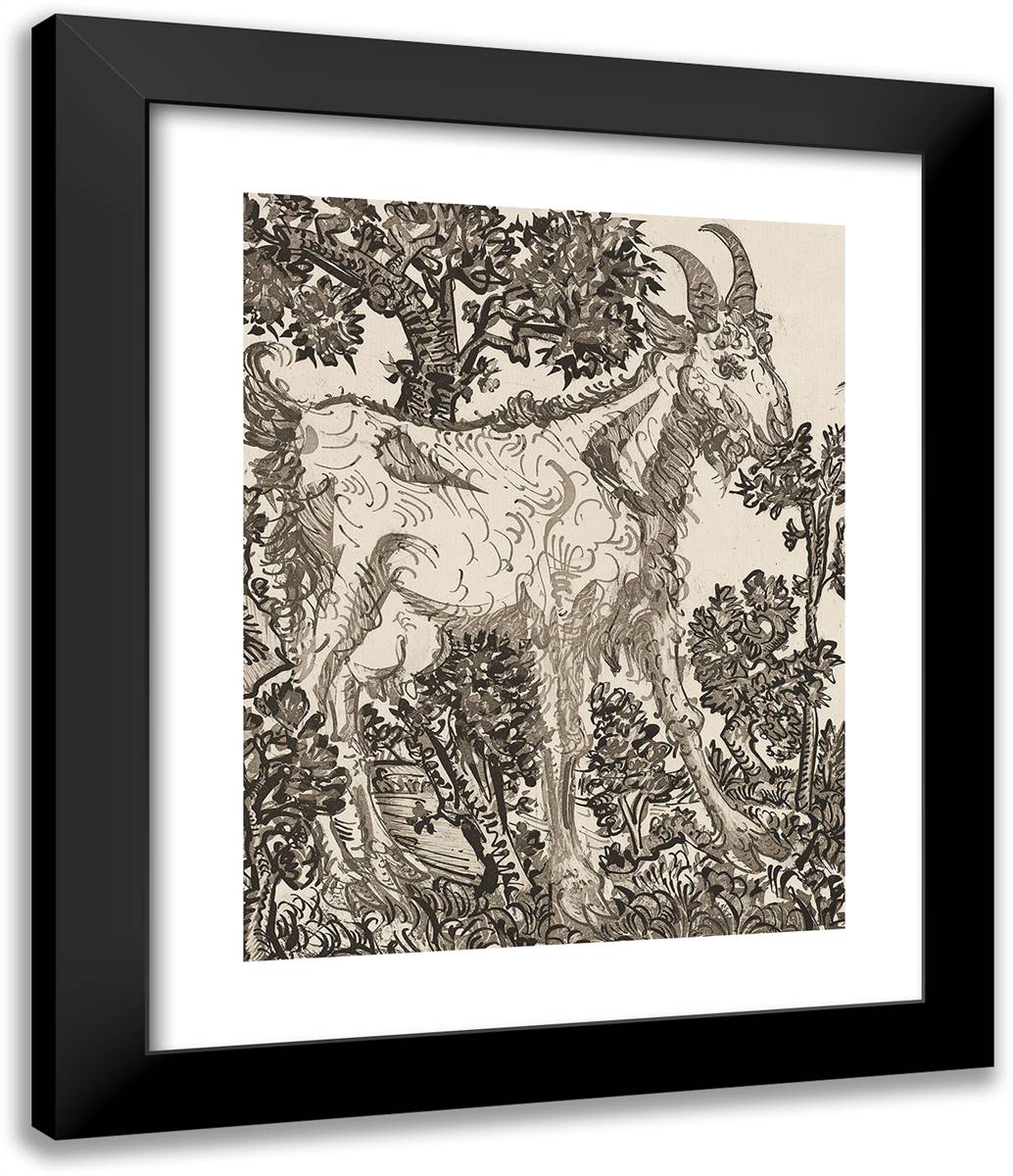 The Goat, from Histoire Naturelle 20x24 Black Modern Wood Framed Art Print Poster by Picasso, Pablo