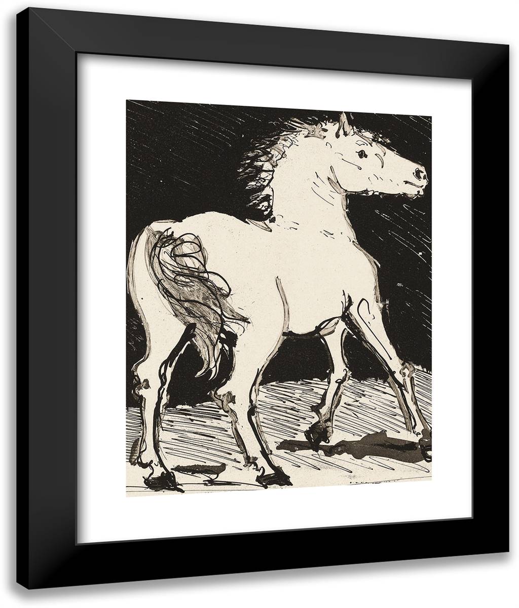 The Horse, from Histoire Naturelle 20x24 Black Modern Wood Framed Art Print Poster by Picasso, Pablo