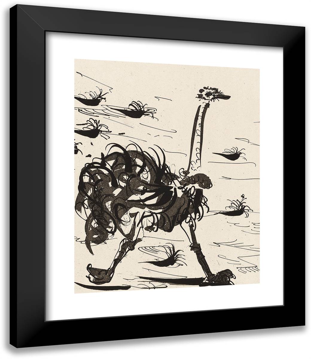 The Ostrich, from Histoire Naturelle 20x24 Black Modern Wood Framed Art Print Poster by Picasso, Pablo