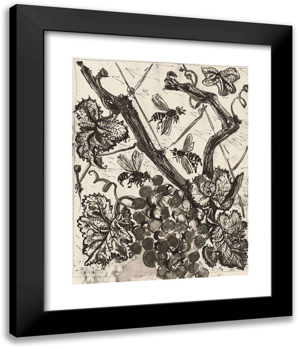 The Wasp, from Histoire Naturelle 20x24 Black Modern Wood Framed Art Print Poster by Picasso, Pablo