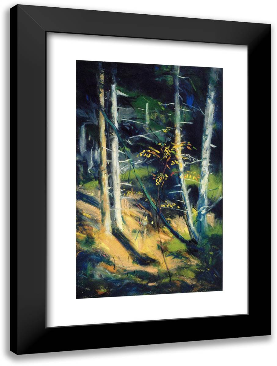 Maine Landscape 17x24 Black Modern Wood Framed Art Print Poster by Henri, Robert